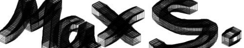 maxs logo picture